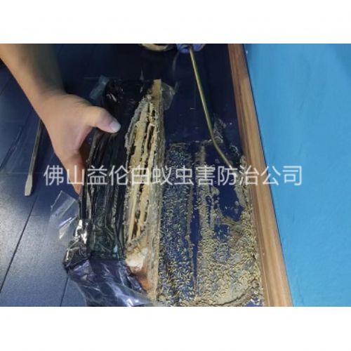 里水体育馆灭治白蚁工程