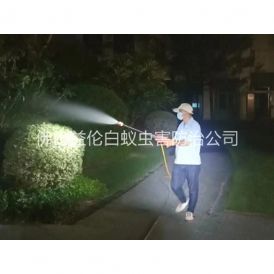里水绿化蚊虫防制工程
